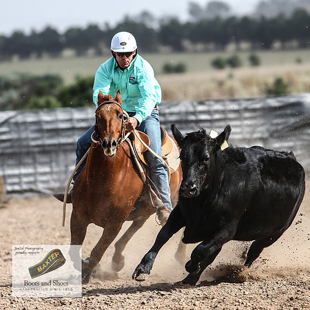 GoulburnCampdraft2018_3614