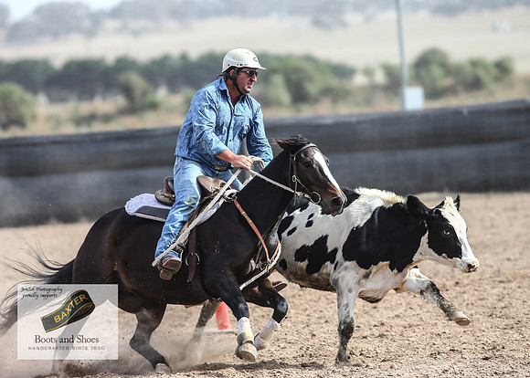 GoulburnCampdraft2018_3829