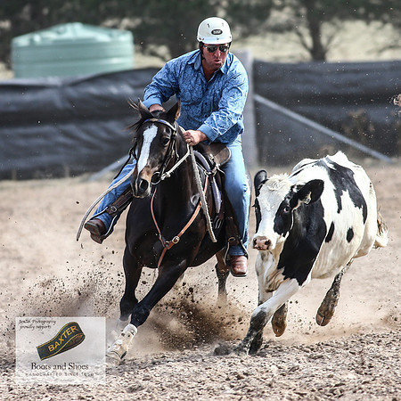 GoulburnCampdraft2018_3795