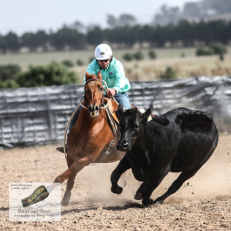 GoulburnCampdraft2018_3613