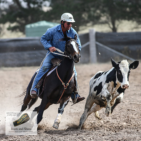 GoulburnCampdraft2018_3785