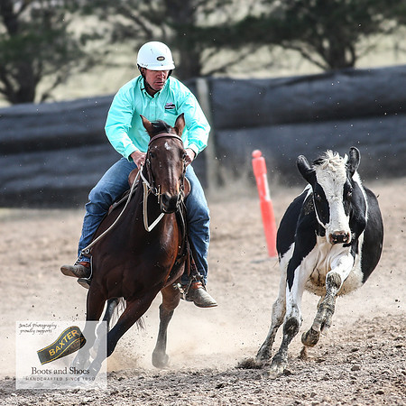 GoulburnCampdraft2018_3730