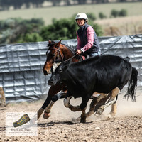 GoulburnCampdraft2018_3515