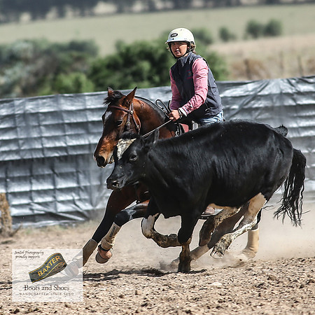 GoulburnCampdraft2018_3515
