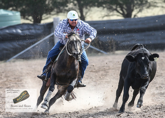 GoulburnCampdraft2018_3689