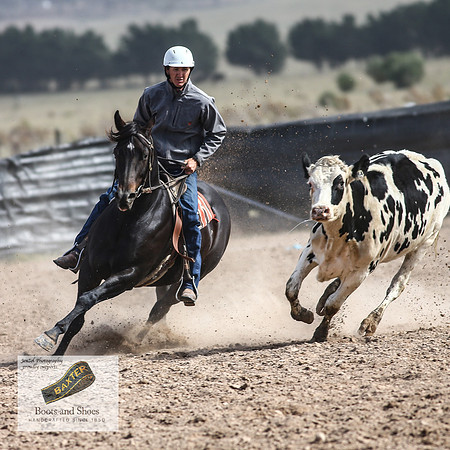 GoulburnCampdraft2018_3720