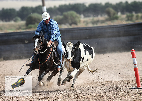 GoulburnCampdraft2018_3814