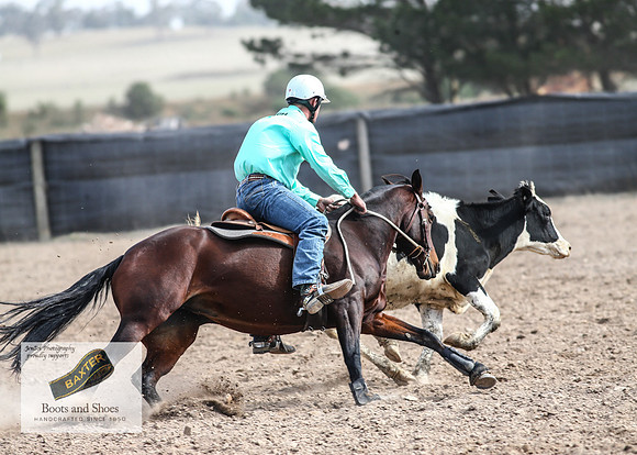 GoulburnCampdraft2018_3771