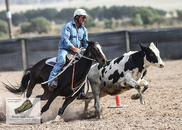 GoulburnCampdraft2018_3832