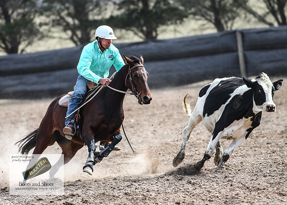 GoulburnCampdraft2018_3732