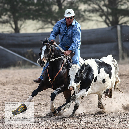 GoulburnCampdraft2018_3776