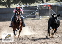 GoulburnCampdraft2018_3461
