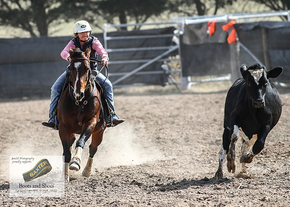GoulburnCampdraft2018_3461