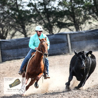 GoulburnCampdraft2018_3600