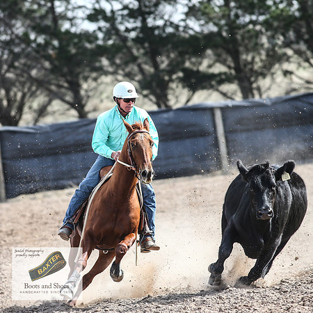 GoulburnCampdraft2018_3600