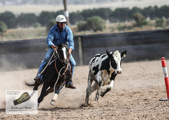 GoulburnCampdraft2018_3808