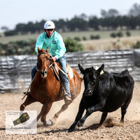 GoulburnCampdraft2018_3616