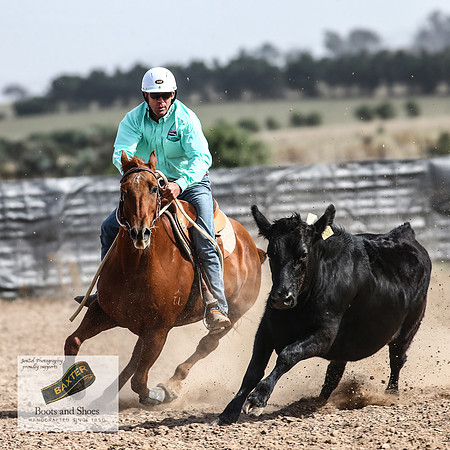 GoulburnCampdraft2018_3616