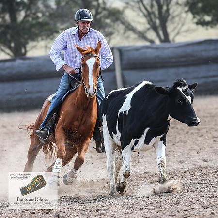 GoulburnCampdraft2018_3728