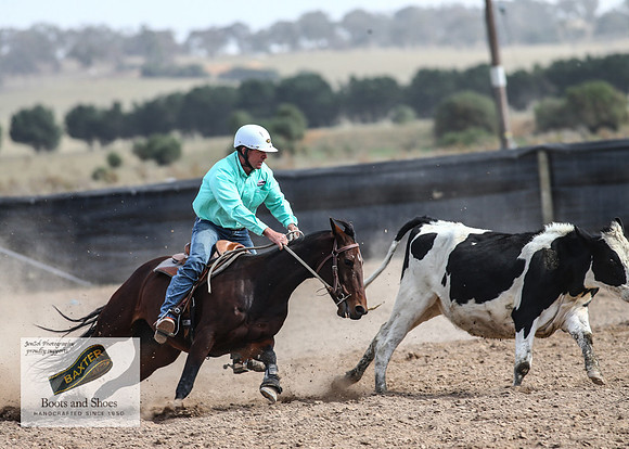 GoulburnCampdraft2018_3755