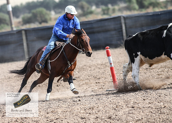 GoulburnCampdraft2018_3671