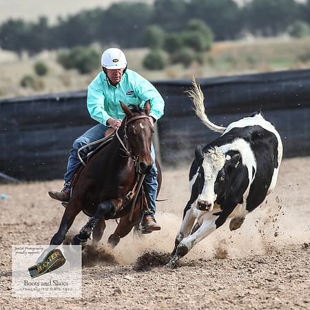 GoulburnCampdraft2018_3752