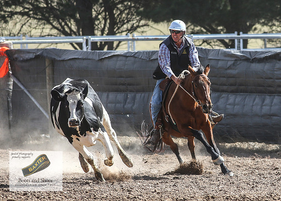 GoulburnCampdraft2018_3435