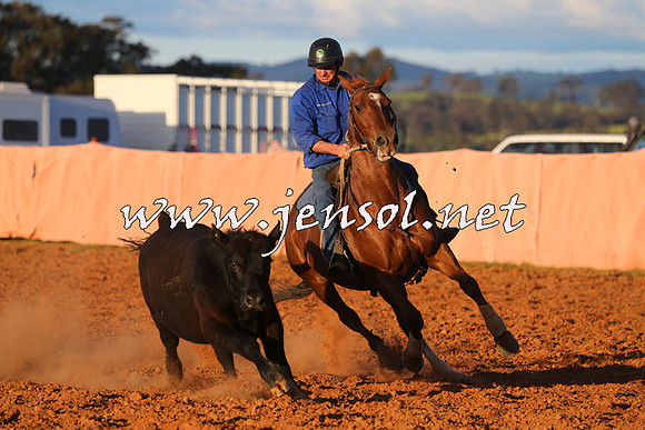 IllaboCampdraft2015_1577