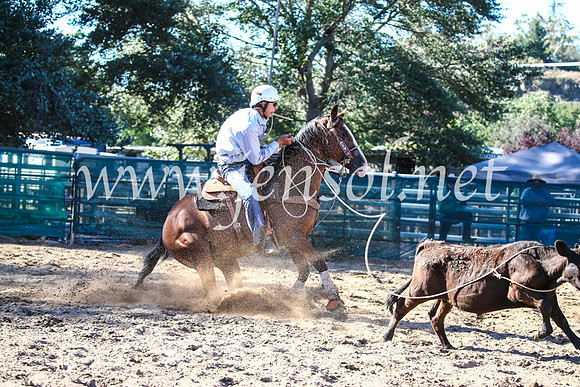CoomaRodeo2017_2227