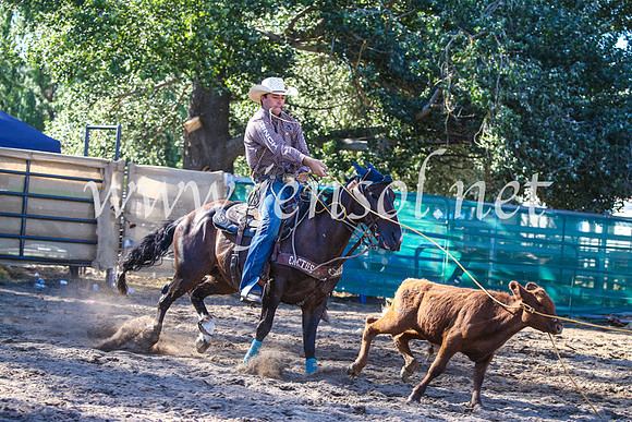 CoomaRodeo2017_2235