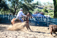 CoomaRodeo2017_2220