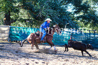 CoomaRodeo2017_2206