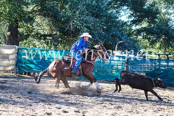 CoomaRodeo2017_2206