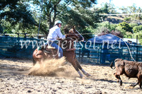 CoomaRodeo2017_2224