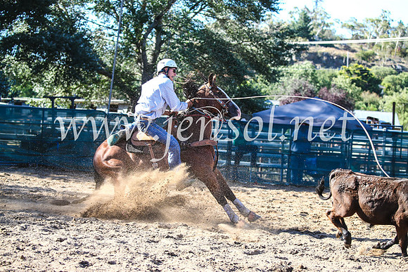 CoomaRodeo2017_2224