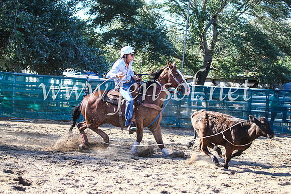 CoomaRodeo2017_2226