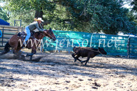 CoomaRodeo2017_2213