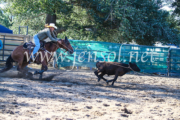 CoomaRodeo2017_2213