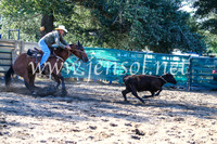 CoomaRodeo2017_2212