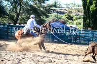 CoomaRodeo2017_2221