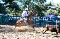 CoomaRodeo2017_2223