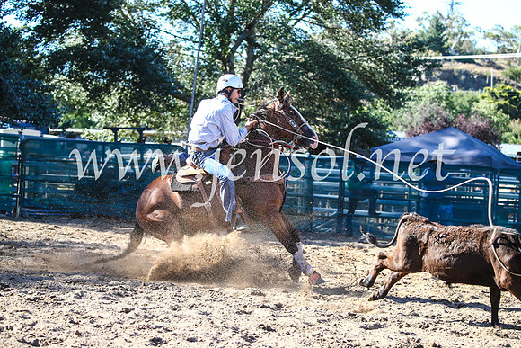 CoomaRodeo2017_2223