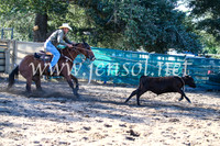 CoomaRodeo2017_2211