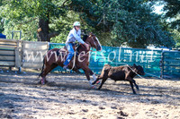 CoomaRodeo2017_2217