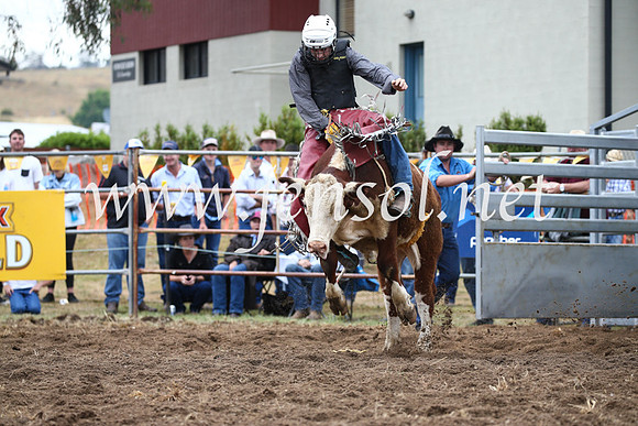 JindabyneRodeo2016-1212