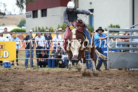 JindabyneRodeo2016-1210