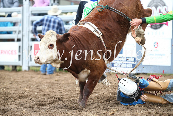 JindabyneRodeo2016-775