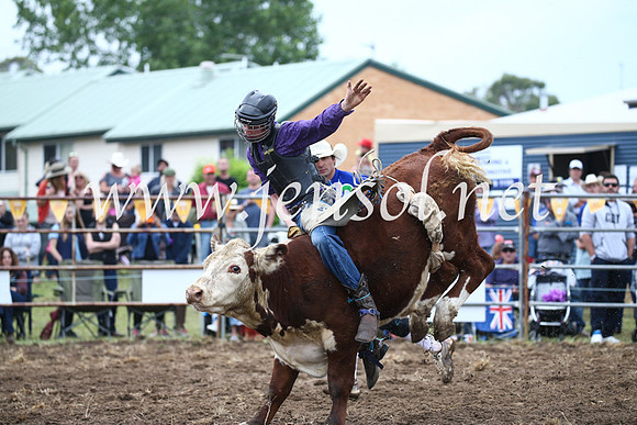 JindabyneRodeo2016-959