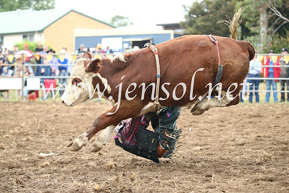 JindabyneRodeo2016-662