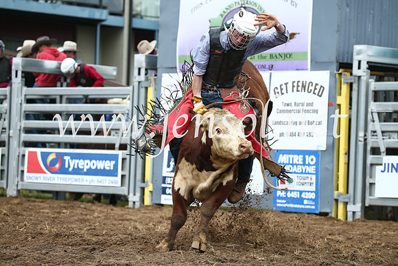 JindabyneRodeo2016-264